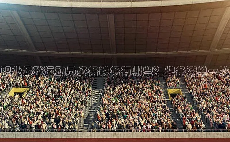 头号玩家娱乐平台百度数据开放平台职业足球运动员必备装备有哪些？装备清单一览