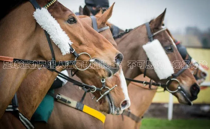 龙8网上娱乐平台中文在线足球运动员踢人痛苦程度调查：不可思议的疼痛体验