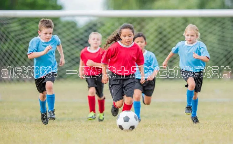 头号玩家唯一官网官方版知乎动感逆转：一场趣味十足的运动赛事短片