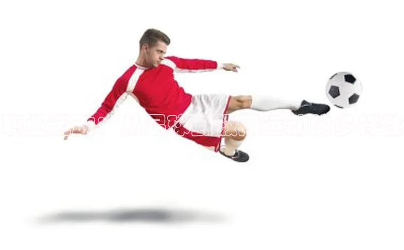 职业运动：从足球到极限运动的多样性