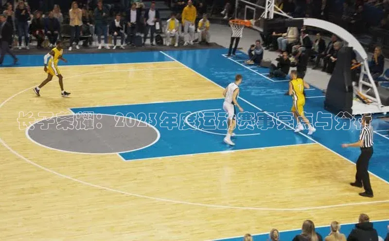 长子荣耀：2023年度运动赛事亮点与分析