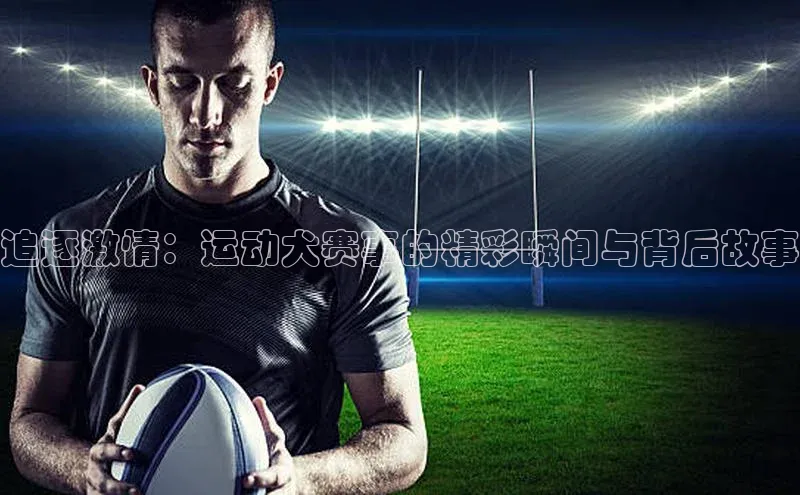 追逐激情：运动犬赛事的精彩瞬间与背后故事