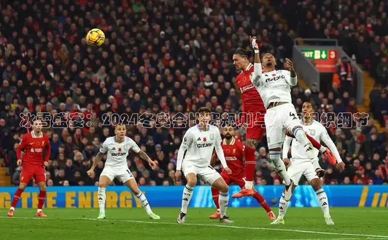 冰雪盛宴：2024冬奥会比赛规则与赛事组织细节