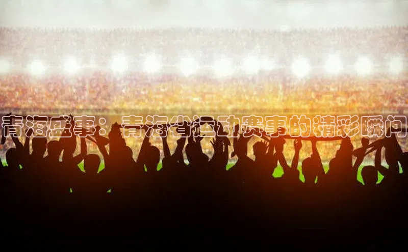 青海盛事：青海省运动赛事的精彩瞬间