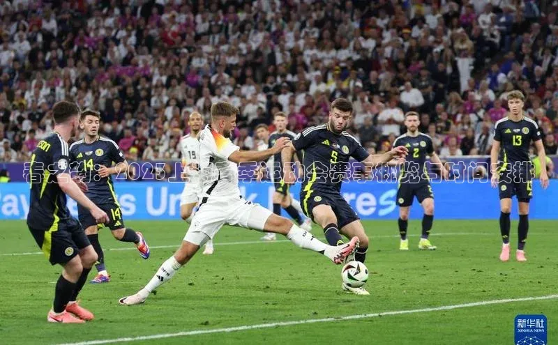 春之韵：2023上海春季运动会赛事概览与时间安排