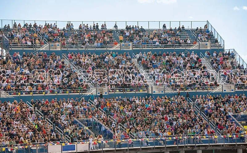 活力四射：记录我的运动会赛事历程