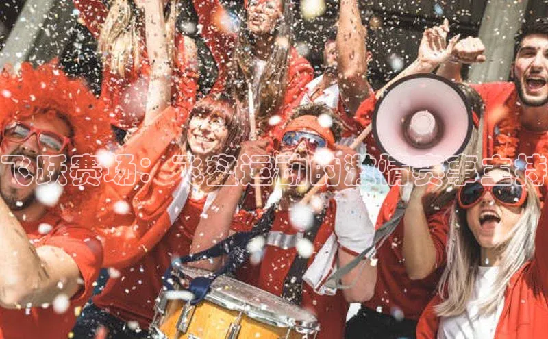 飞跃赛场：飞盘运动的激情赛事主持